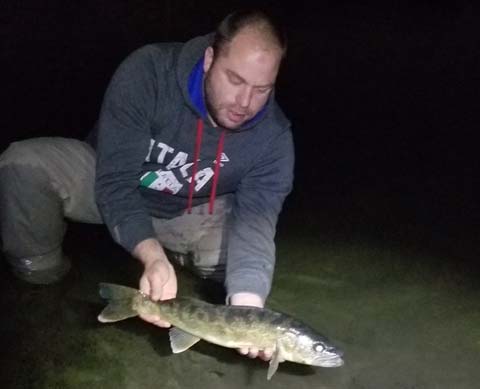 Max Salvador walleye