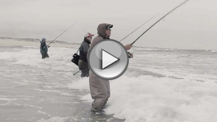 New Jersey Shore Blues