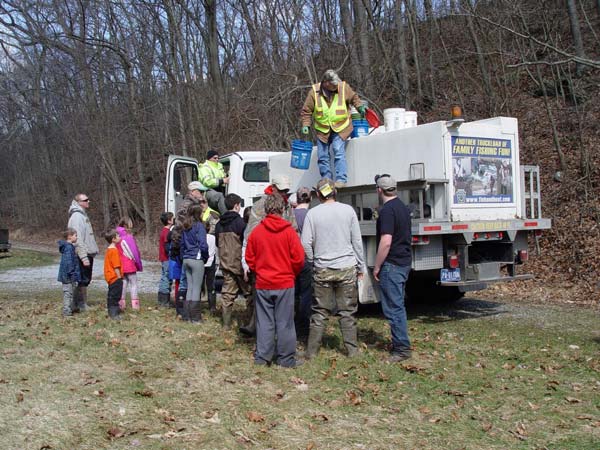 West Branch Octoraro Creek trout stocking