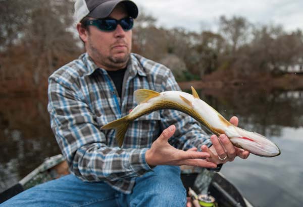 a frisky &ldquo;slime dart.&rdquo;