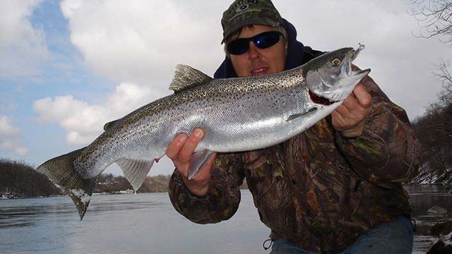 Mike Rzucidlo of Niagara Falls