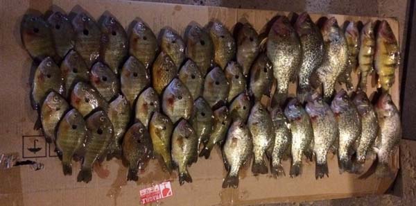 excellent late season ice fishing right through March