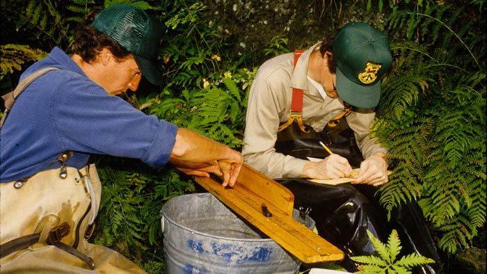 VTFW Brook Trout Study