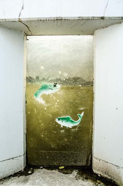 observation window at the Easton Fish Ladder