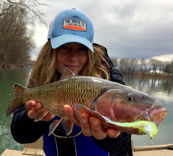 Susquehanna River Basin Fallfish