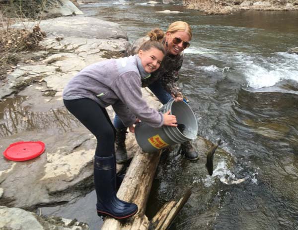 East Branch of the Tunkhannock stocking