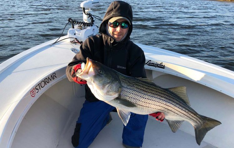 Another nice striped bass from Reel Cast Charters