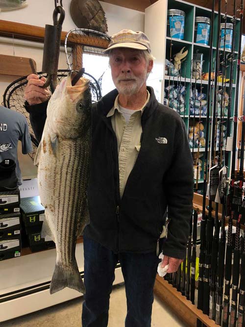 Bob Smith with a herring-stuffed 30&rdquo; striper