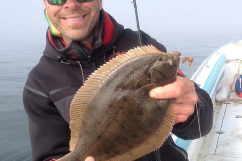 Boston Harbor flounder