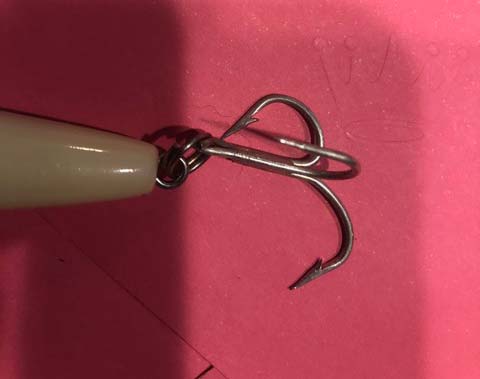 Hook-bending stripers have invaded the harbor!