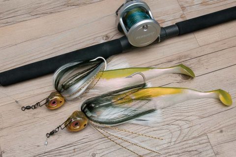 Get Started With Mojo rigs