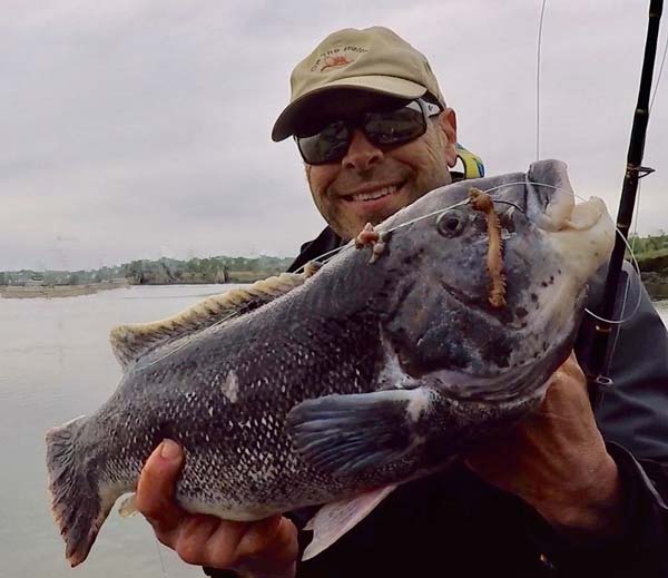 “White chins” are transitioning