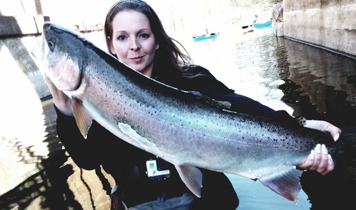 Buffy Frank of Lockport steelhead