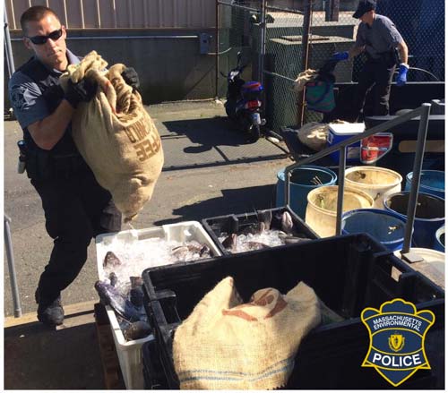 MA EPO officers gathering the illegal catch