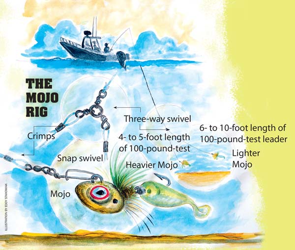 The Mojo Rig diagram