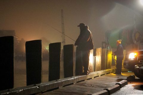 Docks with bright lights near deep water are likely spots to encounter early-season squid.