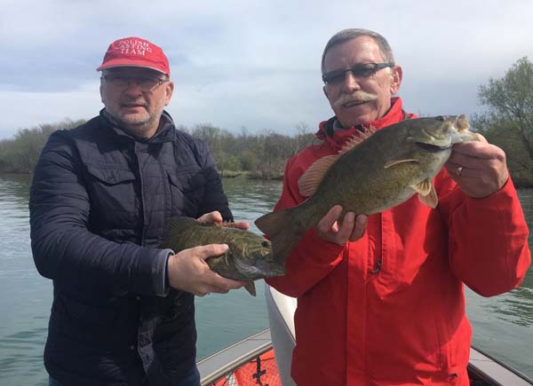 big bass from the Upper Niagara River.