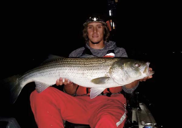 live eel on a three-way rig accounted for this 41-inch bass