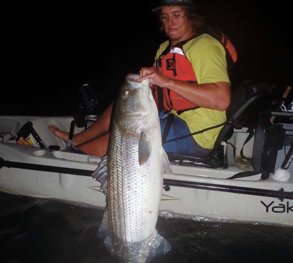 46-inch bass caught casting a dead eel up-current