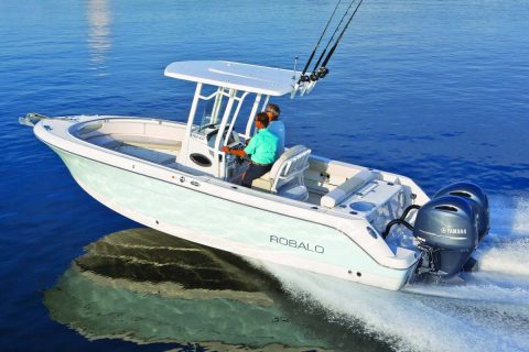Robalo R242