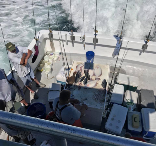 big sea bass, fluke, winter flounder, and ling.