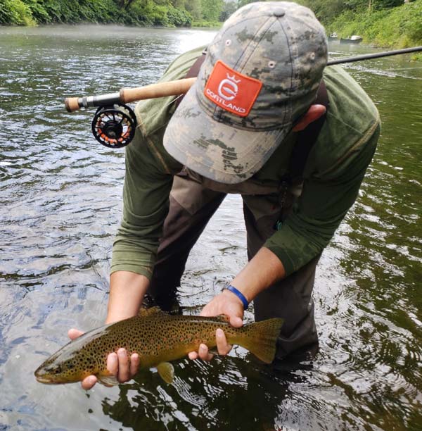 Summer Brown Trout In The Rain!
