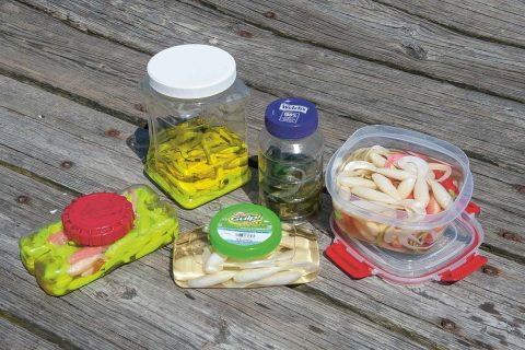 Synthetic Bait Storage Solutions