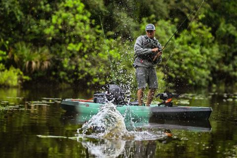 Old Town Topwater Series