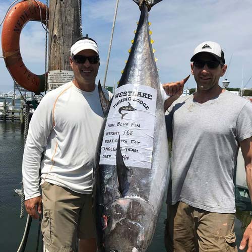 bluefin caught on #gottafly this week