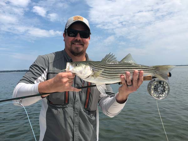 Northfork Light Tackle Charters striper on the fly