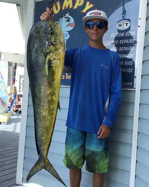 Big mahi