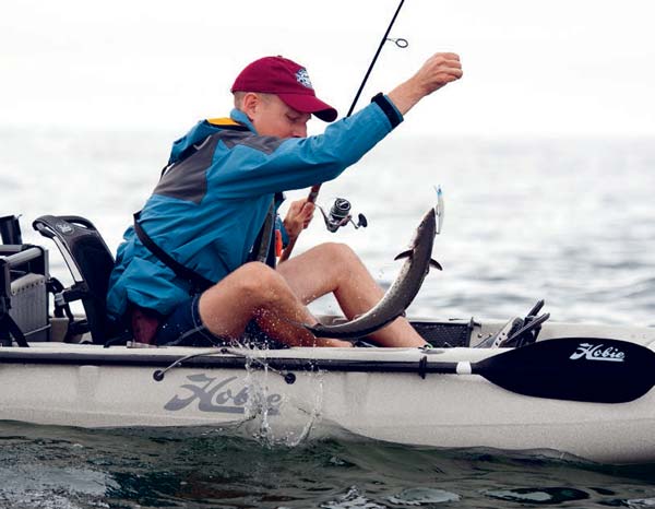 The hard-hitting king mackerel were a rare treat for Cape Cod anglers.