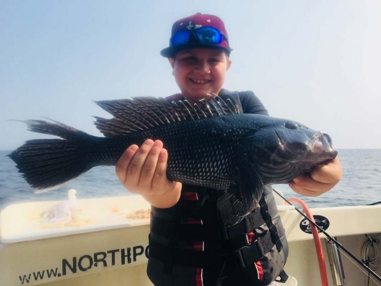 Northport Charters seabass
