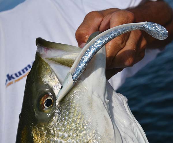 Soft plastics are available in a wide variety of profiles