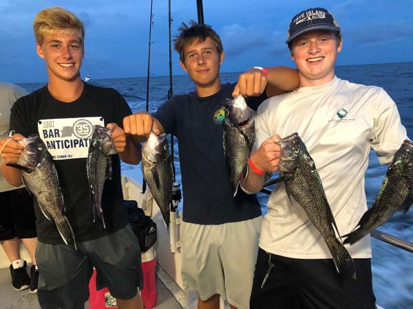 Golden Eagle black sea bass