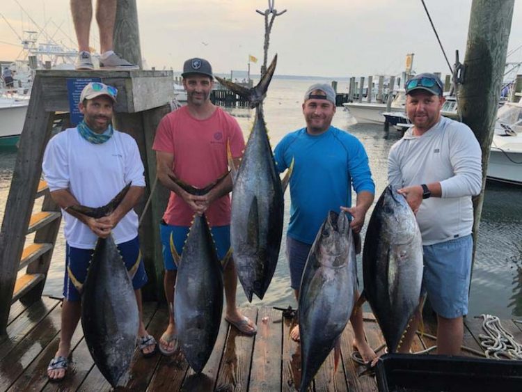 2nd Place 77lb yellowfin tuna in the overnight division, in the Hampton’s Offshore Invitational
