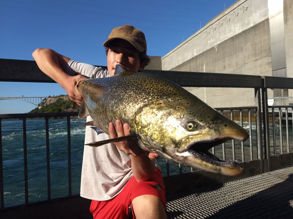 Gianni Etopio king salmon