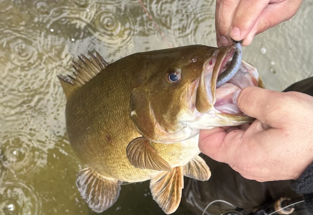 lures and techniques for kayak bass fishing in the fall