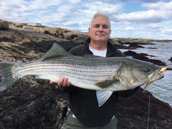 Robbie Roberts&rsquo; striper