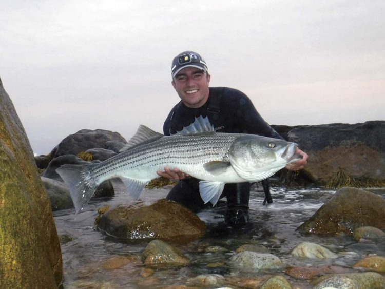 ambush points for big striped bass
