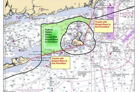 SPEAK UP: Managers Consider Allowing Striped Bass Fishing in EEZ