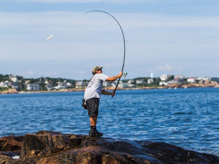 Stripers On The Rocks