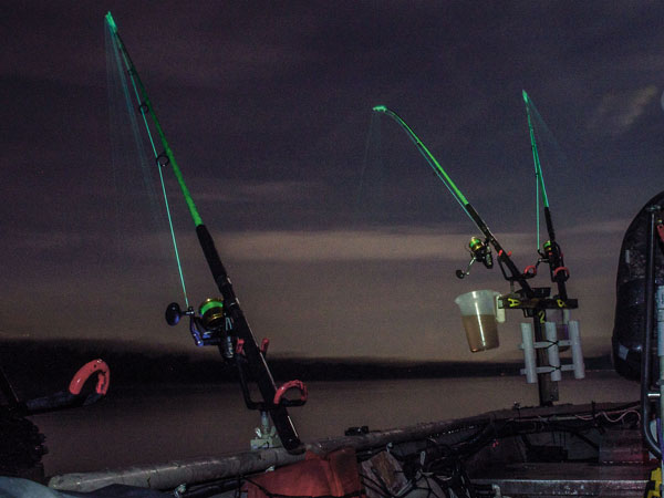 Gunter's fluorescent green rods