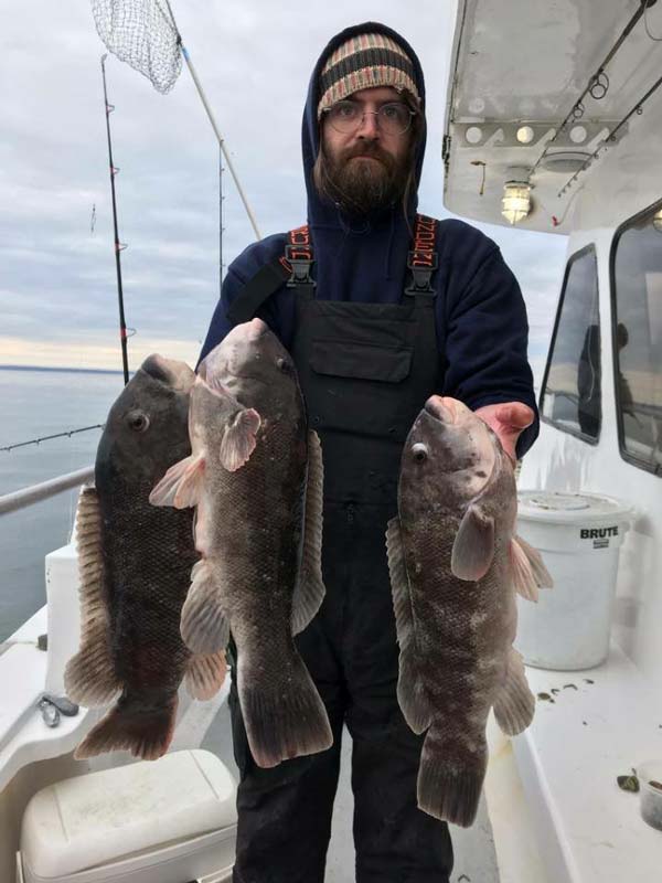 Celtic Quest blackfish