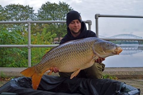 Connecticut’s Fishin’ Factory 3, 2018 Carp Tournament Lands Big
