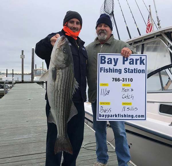 Bay Park striped bass