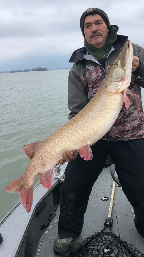 John Anthone musky