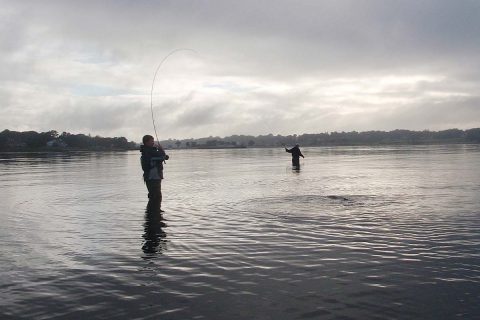 Late Inning Stripers And Blues