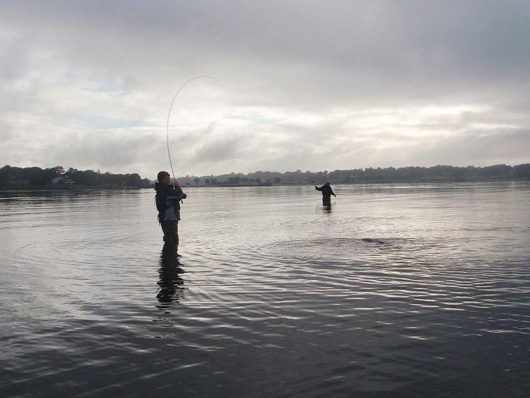 Late Inning Stripers And Blues