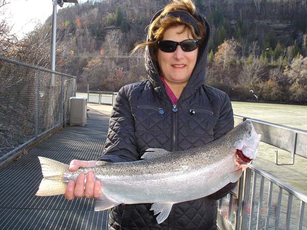 Nancy Colavecchia first steelhead